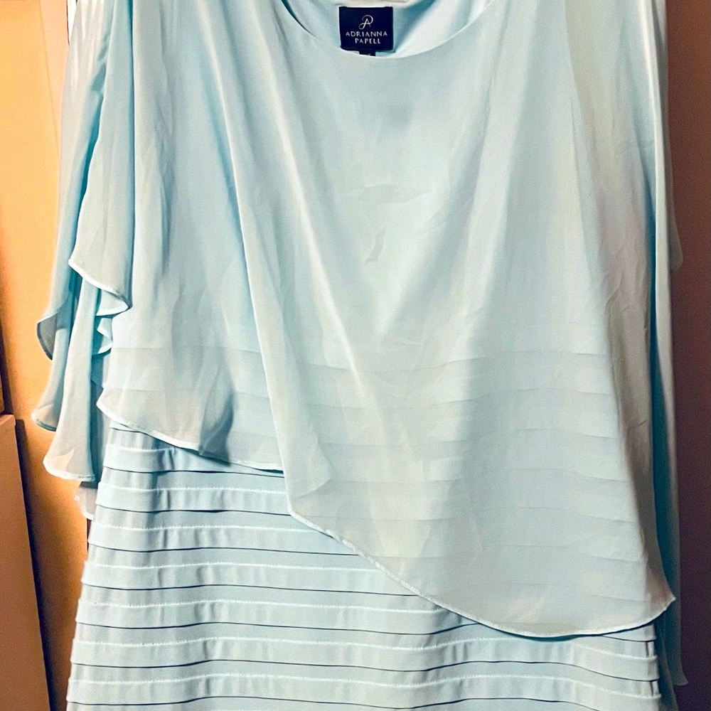 Mother of Bride or special occasion dress.